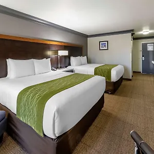 https://comfort-inn-suites-near-universal-n-hollywood-burbank.topanaheimhotels.com