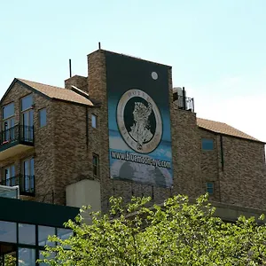 The Historic Blue Moon - Nyc Hotel